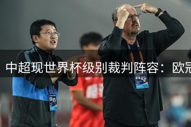 中超现世界杯级别裁判阵容：欧冠决赛主裁执哨，马宁担任第四官员
