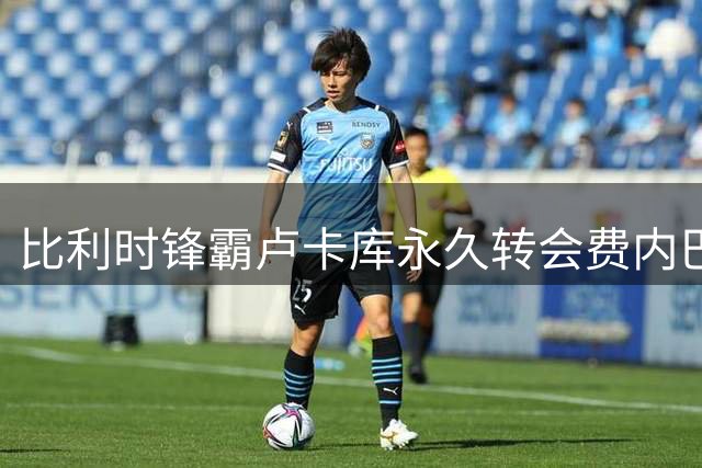 比利时锋霸卢卡库永久转会费内巴切 世界杯表现抢眼