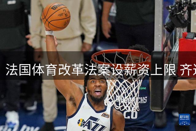法国体育改革法案设薪资上限 齐达内执教国家队年薪或破例豁免
