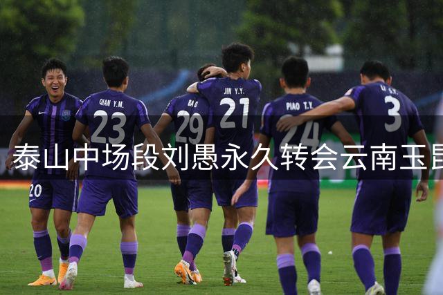 泰山中场段刘愚永久转会云南玉昆 将与前队友石柯徐新会合